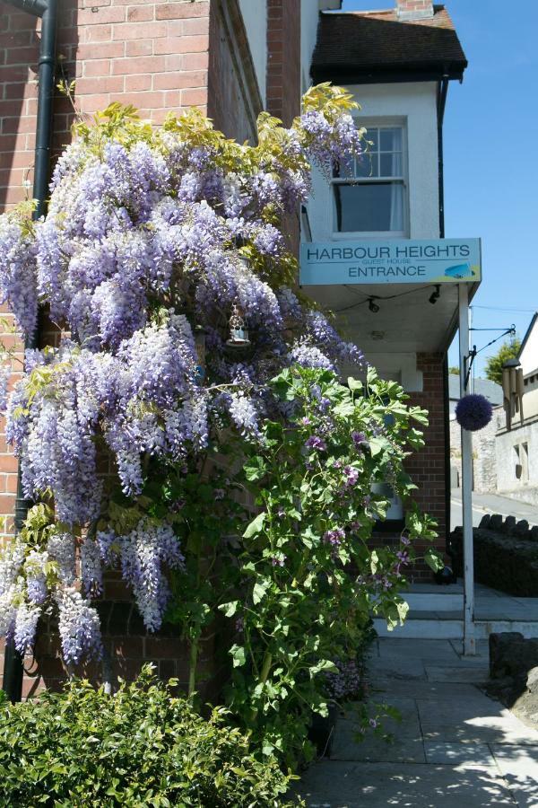Harbour Heights Guest House 托基 外观 照片